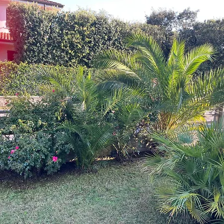 Villa Oasi Blu Marina di Pietrasanta