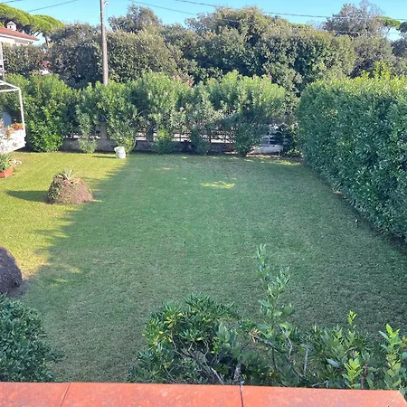 Oasi Blu Marina di Pietrasanta